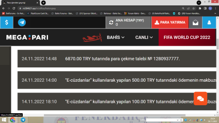 1669314302338.png