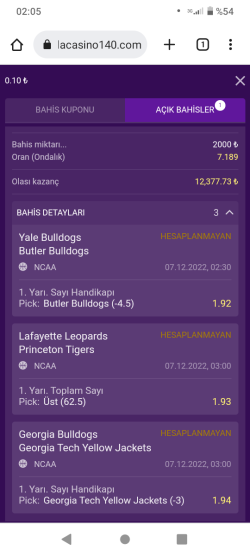 Screenshot_20221207-020544.png
