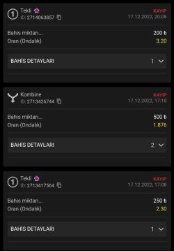 Screenshot_2022-12-17-20-26-20-056-edit_com.android.chrome.jpg