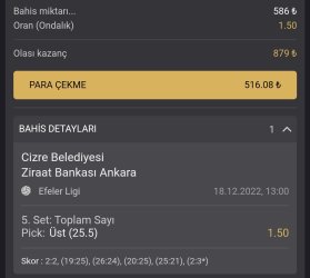 Screenshot_2022-12-18-15-10-02-727-edit_com.android.chrome.jpg