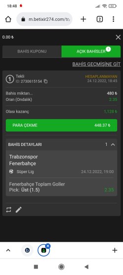 Screenshot_2022-12-24-18-48-14-230_com.android.chrome.jpg