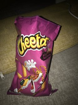 image.jpg
