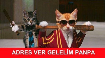 images (26).jpeg