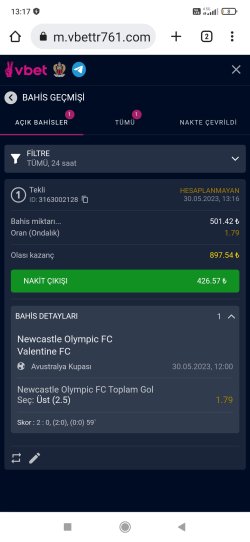 Screenshot_2023-05-30-13-17-08-676_com.android.chrome.jpg