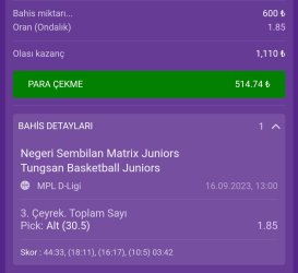 Screenshot_2023-09-16-13-56-32-943_com.android.chrome-edit.jpg