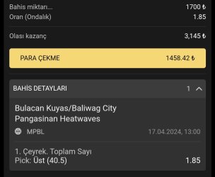 Screenshot_2024-04-17-13-27-24-053_com.android.chrome-edit.jpg