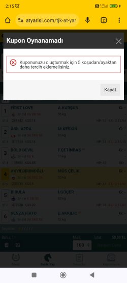 Screenshot_2024-06-29-02-15-27-870_com.android.chrome.jpg Screenshot_2024-06-29-02-15-27-870_com.android.chrome.jpg