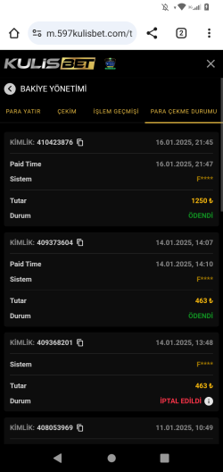 Screenshot_20250116-215107.png